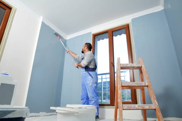 Best Water Damage & Mold Remediation  in Forest Park, OH