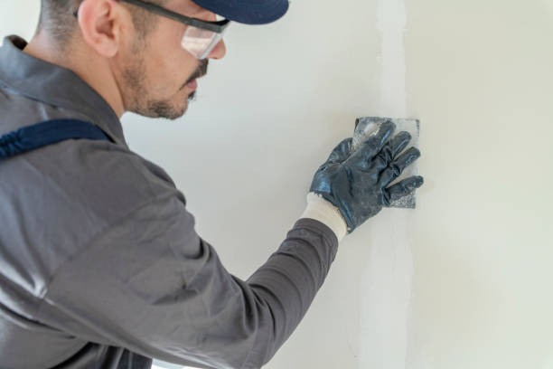 Best Mold Damage Restoration  in Forest Park, OH