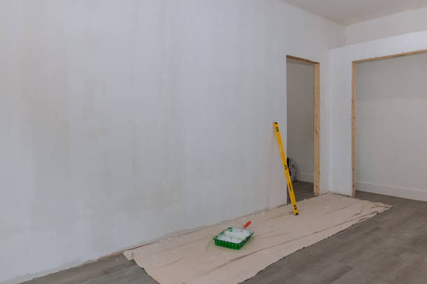 Best Dehumidification Services  in Forest Park, OH