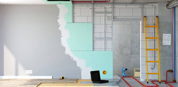 Best Biohazard Mold Removal  in Forest Park, OH