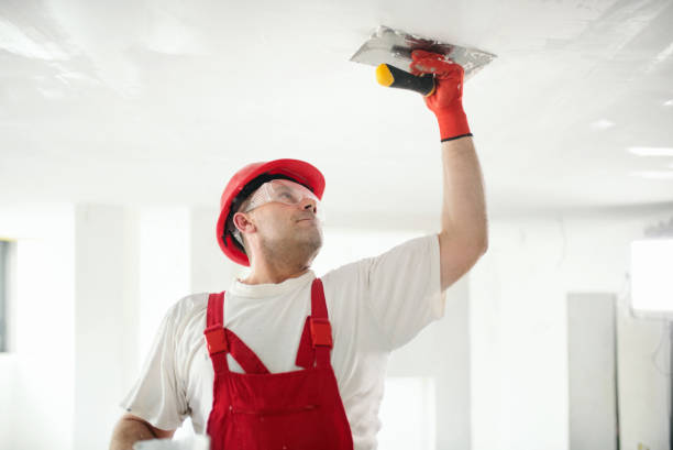 Best Black Mold Removal  in Forest Park, OH