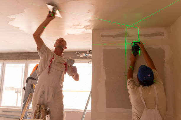 Best Mold Remediation for Healthcare Facilities  in Forest Park, OH