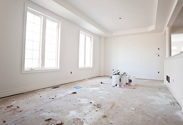 Best Mold Documentation for Insurance Claims  in Forest Park, OH