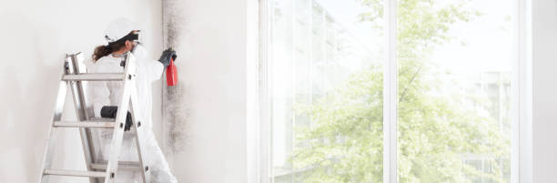 Forest Park, OH Mold Removal Company