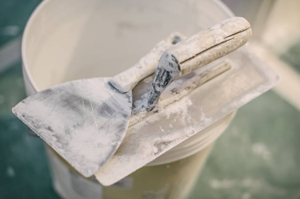Best Commercial Mold Inspection  in Forest Park, OH